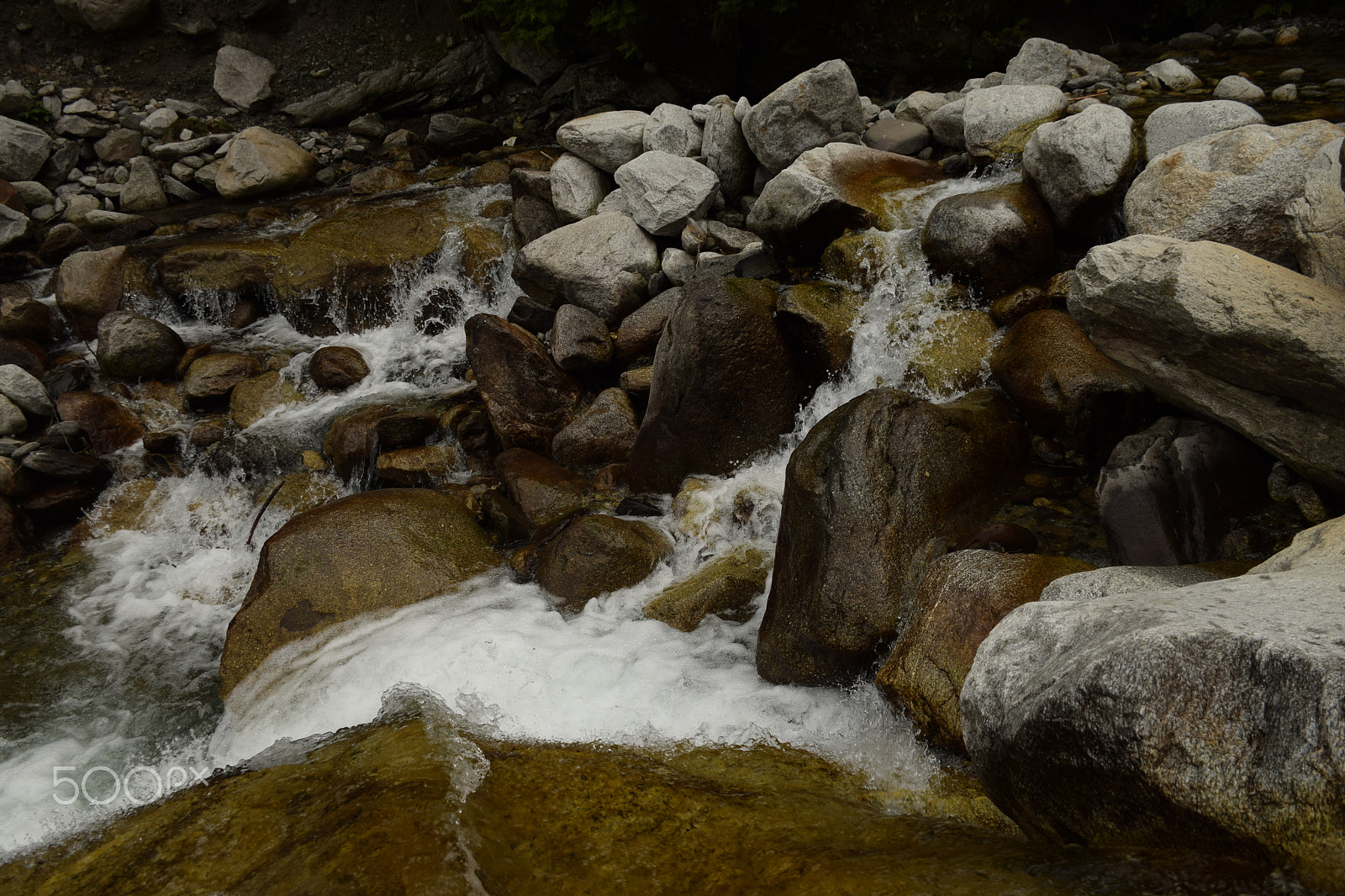 Nikon D5300 sample photo. Random photography
