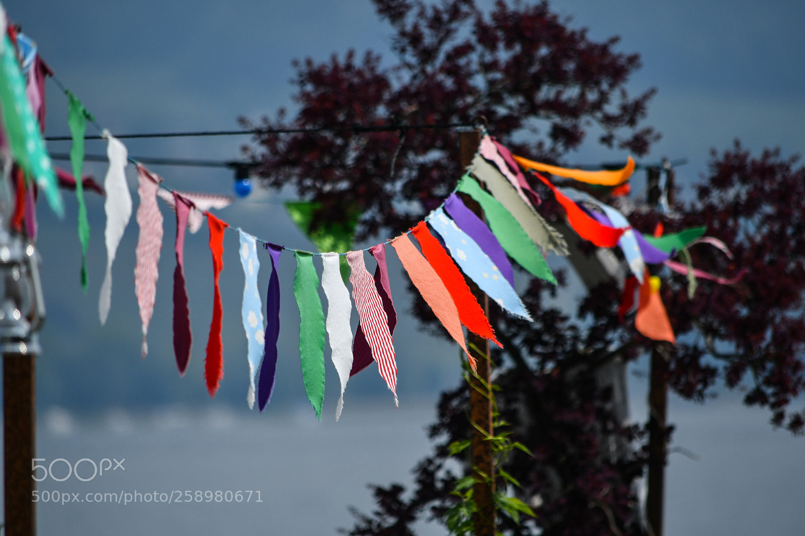 Nikon D7500 sample photo. Untitled photography