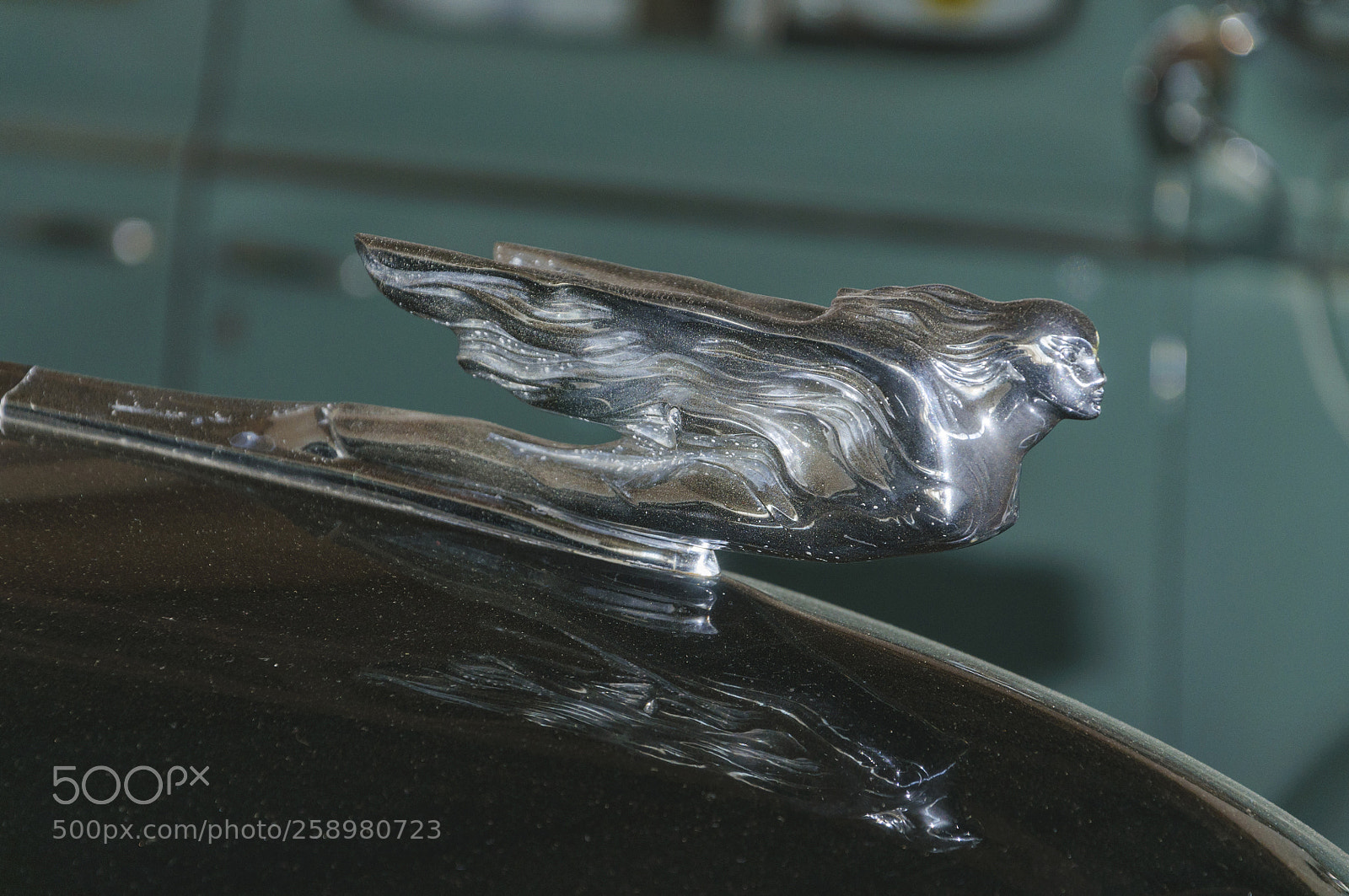 Nikon D90 sample photo. Moscow, russia - may photography