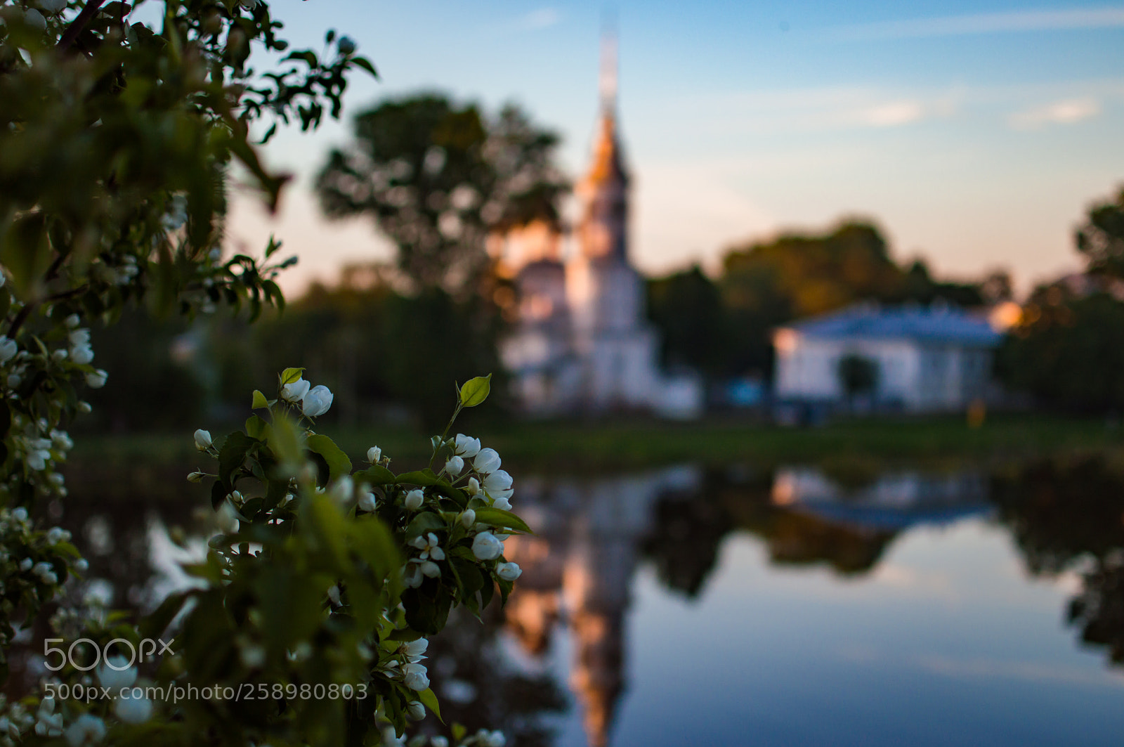 Nikon D3200 sample photo. Sunset and apple tree photography