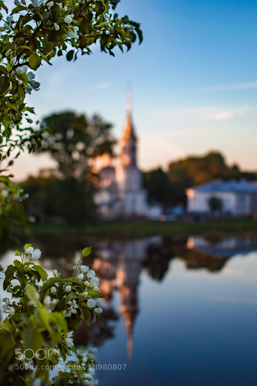 Nikon D3200 sample photo. Sunset and apple tree photography
