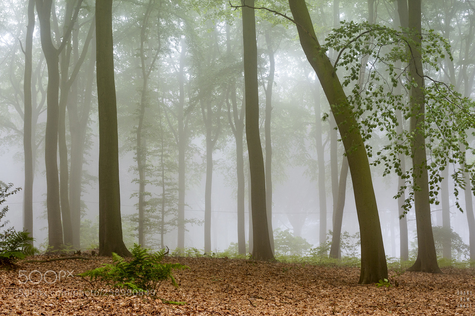 Nikon D7200 sample photo. The summit of hotondberg photography