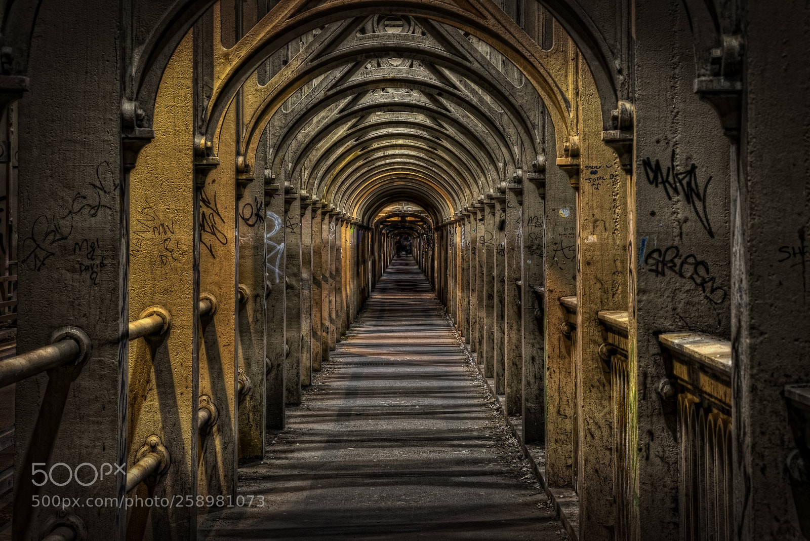 Nikon D810 sample photo. High level bridge photography