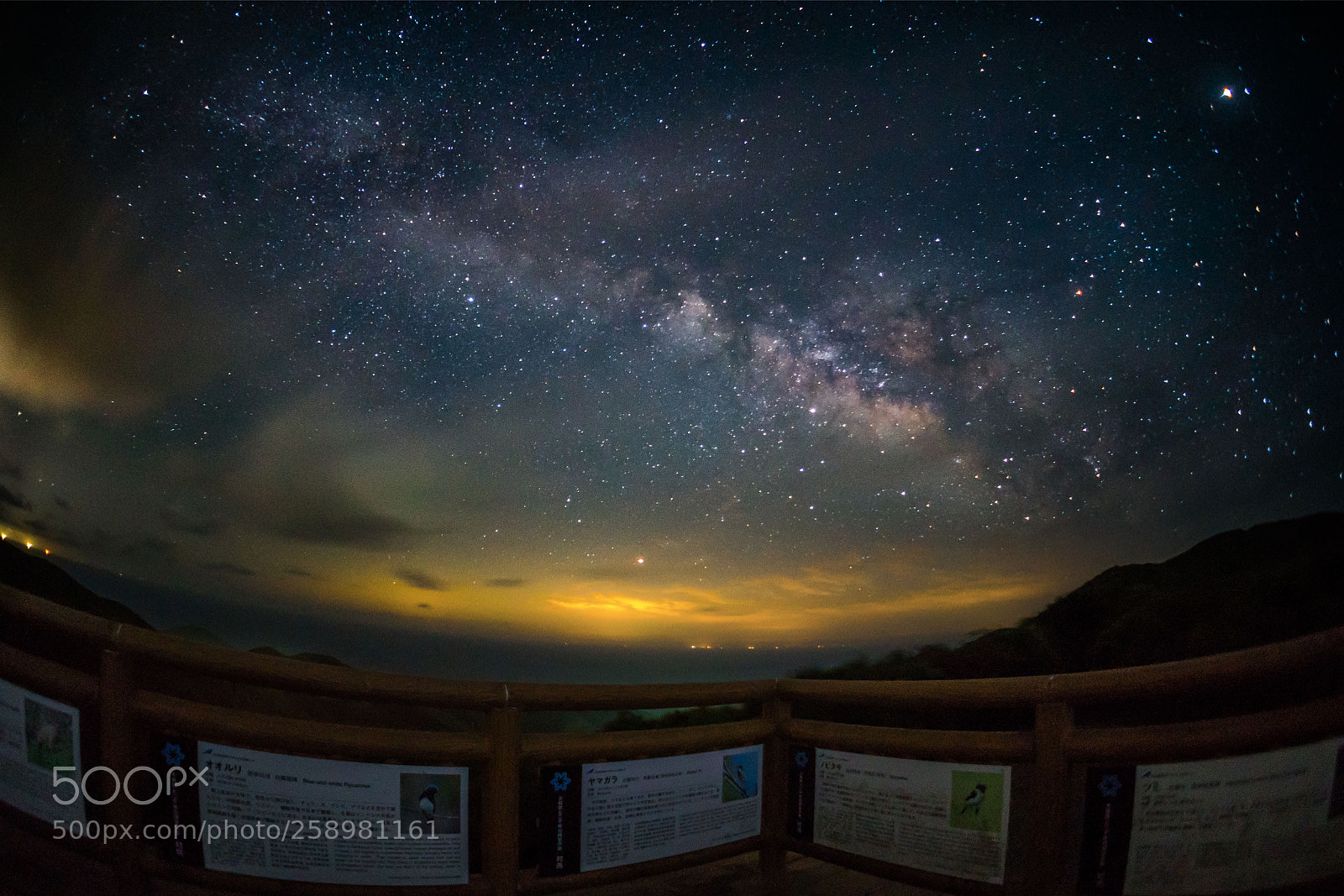 Sony a7R II sample photo. 対馬　tsushima photography