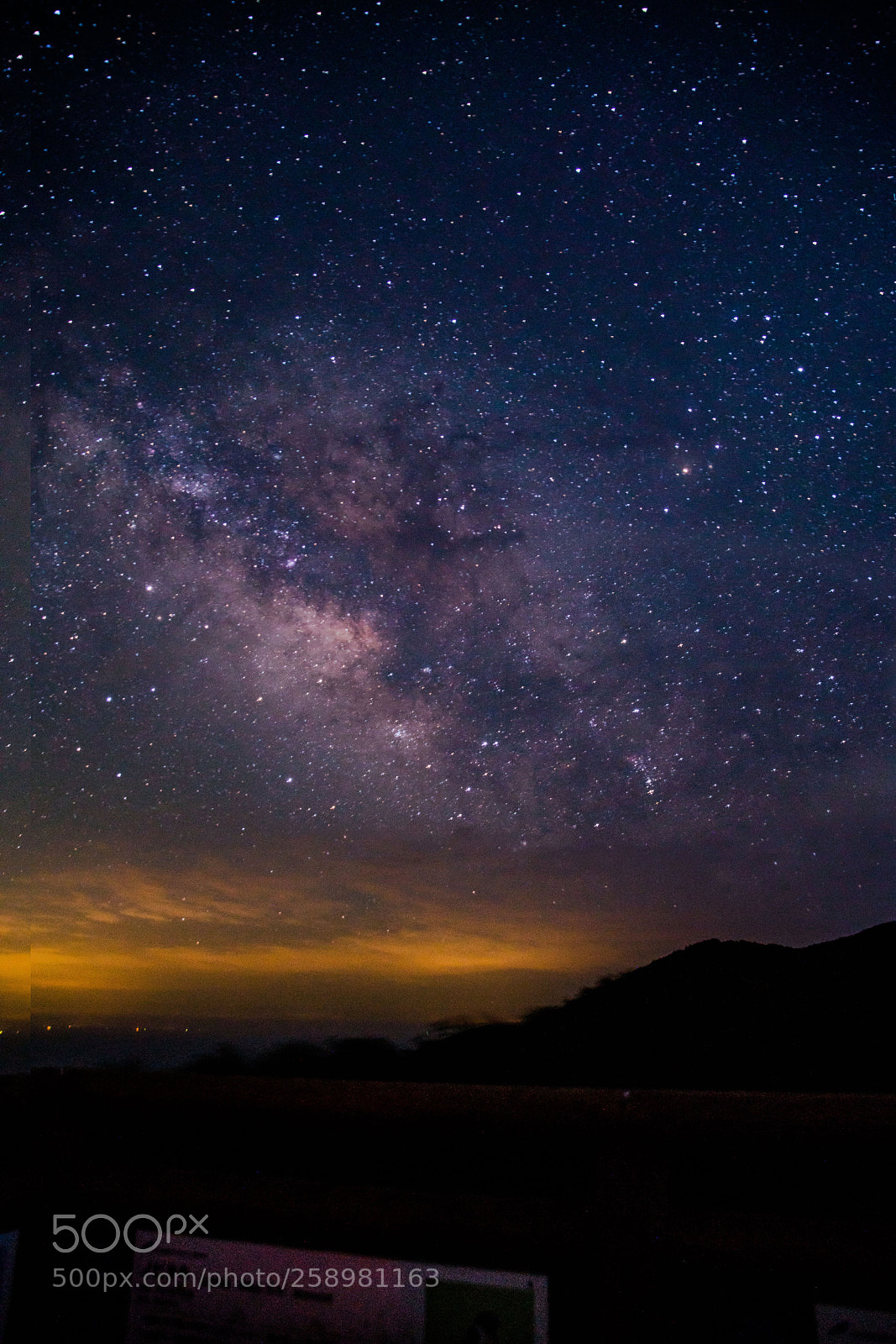 Sony a7R II sample photo. 対馬　tsushima photography