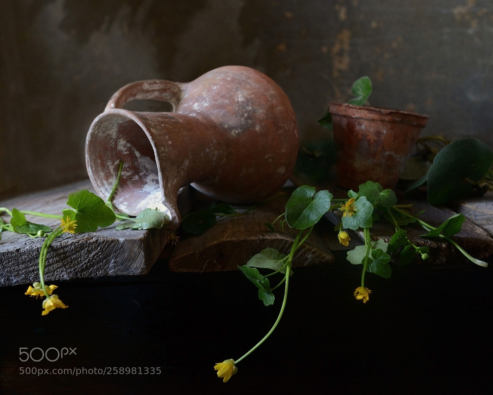 Nikon D600 sample photo. чистяк весенний photography
