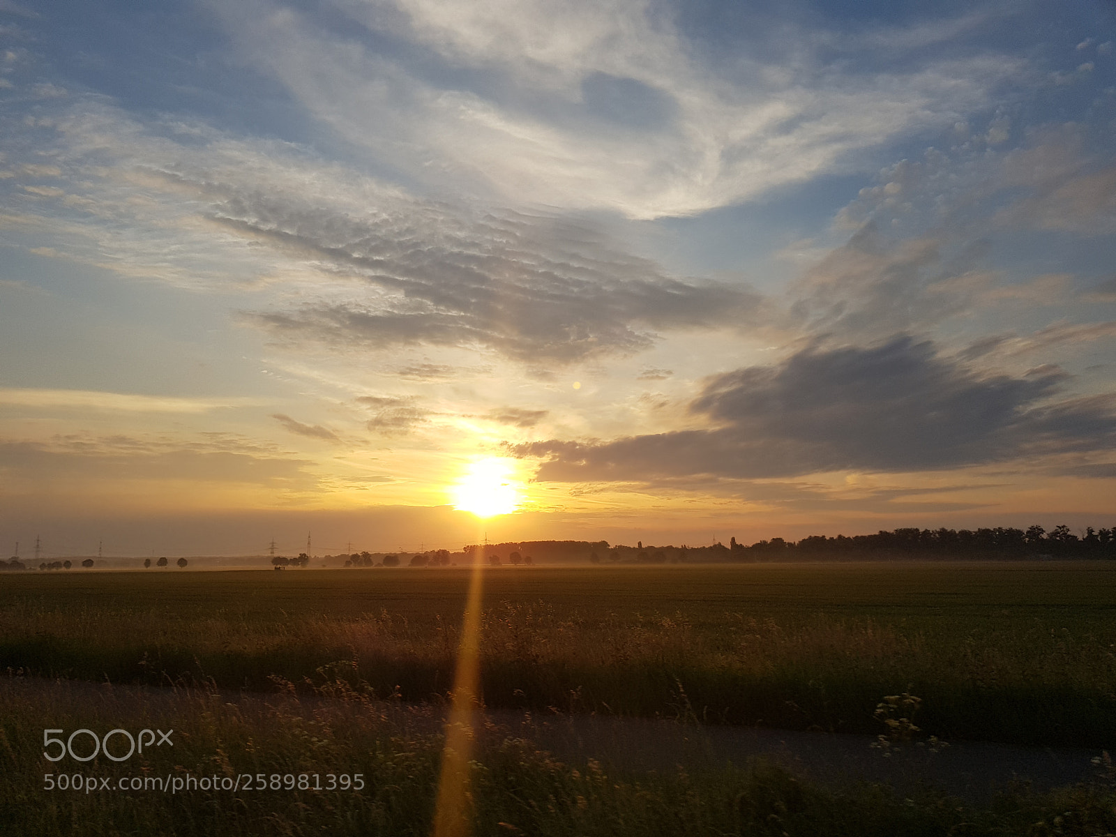 Samsung Galaxy S8 sample photo. Good morning, hope you'll photography