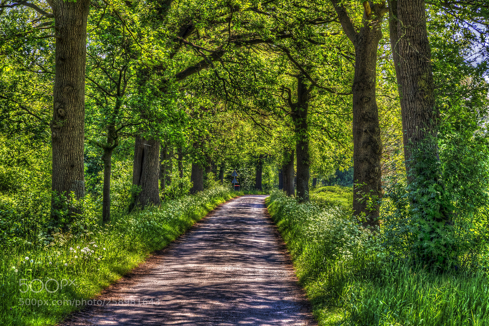 Canon EOS 7D sample photo. Achterhoek3 photography
