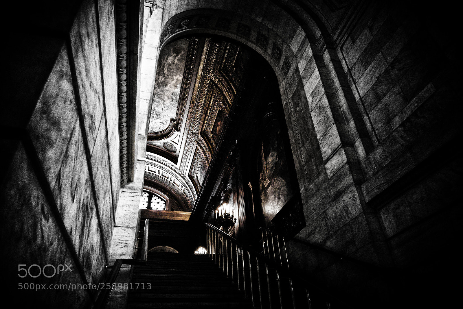 Nikon D810 sample photo. Untitled photography