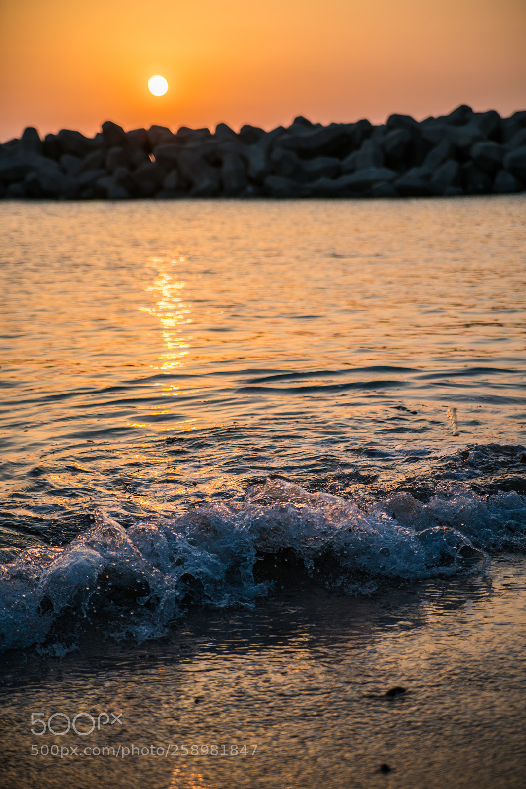 Sony a7R II sample photo. 対馬　tsushima photography
