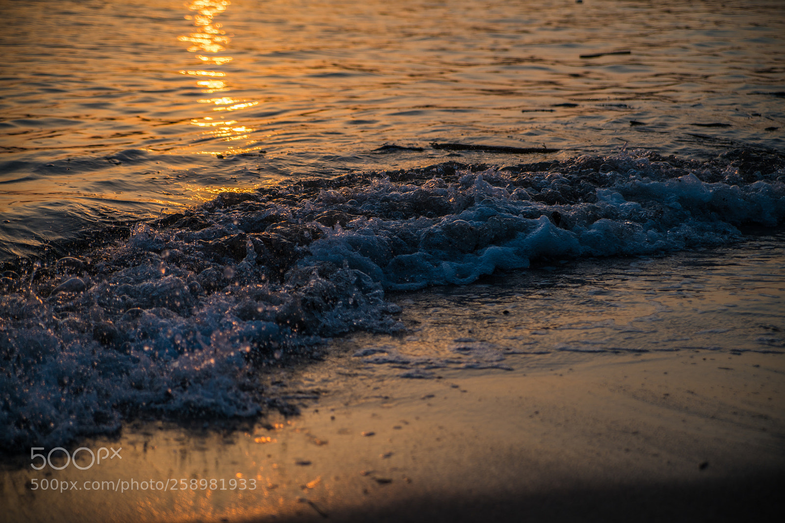 Sony a7R II sample photo. 対馬　tsushima photography