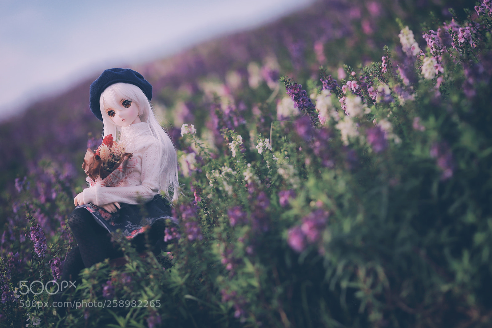 Canon EOS 6D Mark II sample photo. Eefo photography
