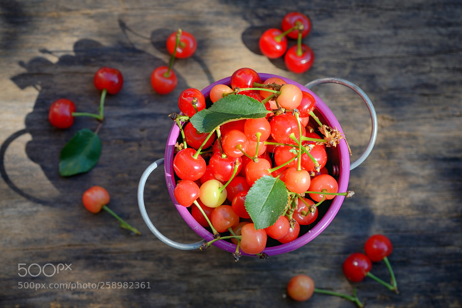 Nikon D610 sample photo. Ripe sweet cherry in photography