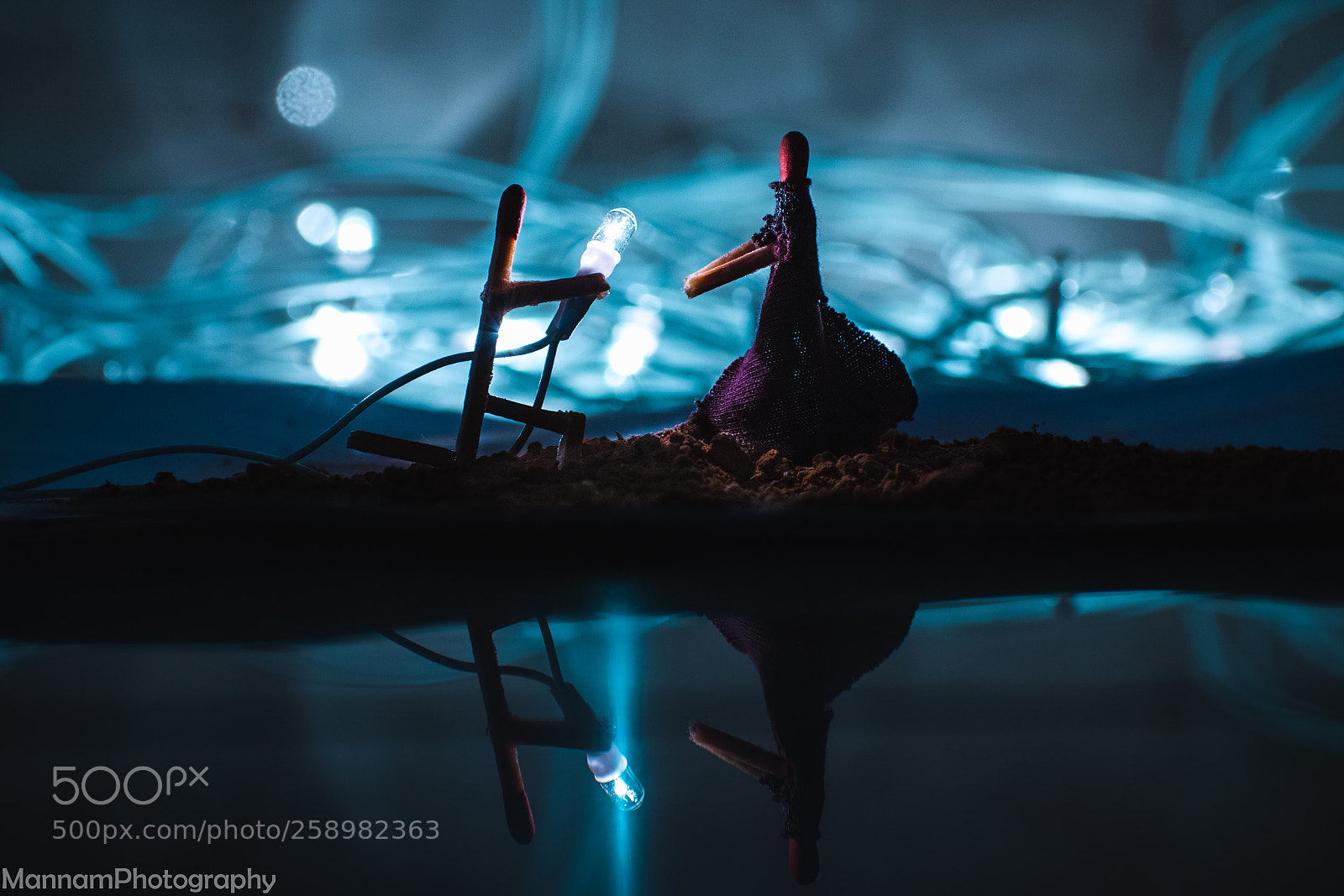 Nikon D5300 sample photo. Cute love blue photography