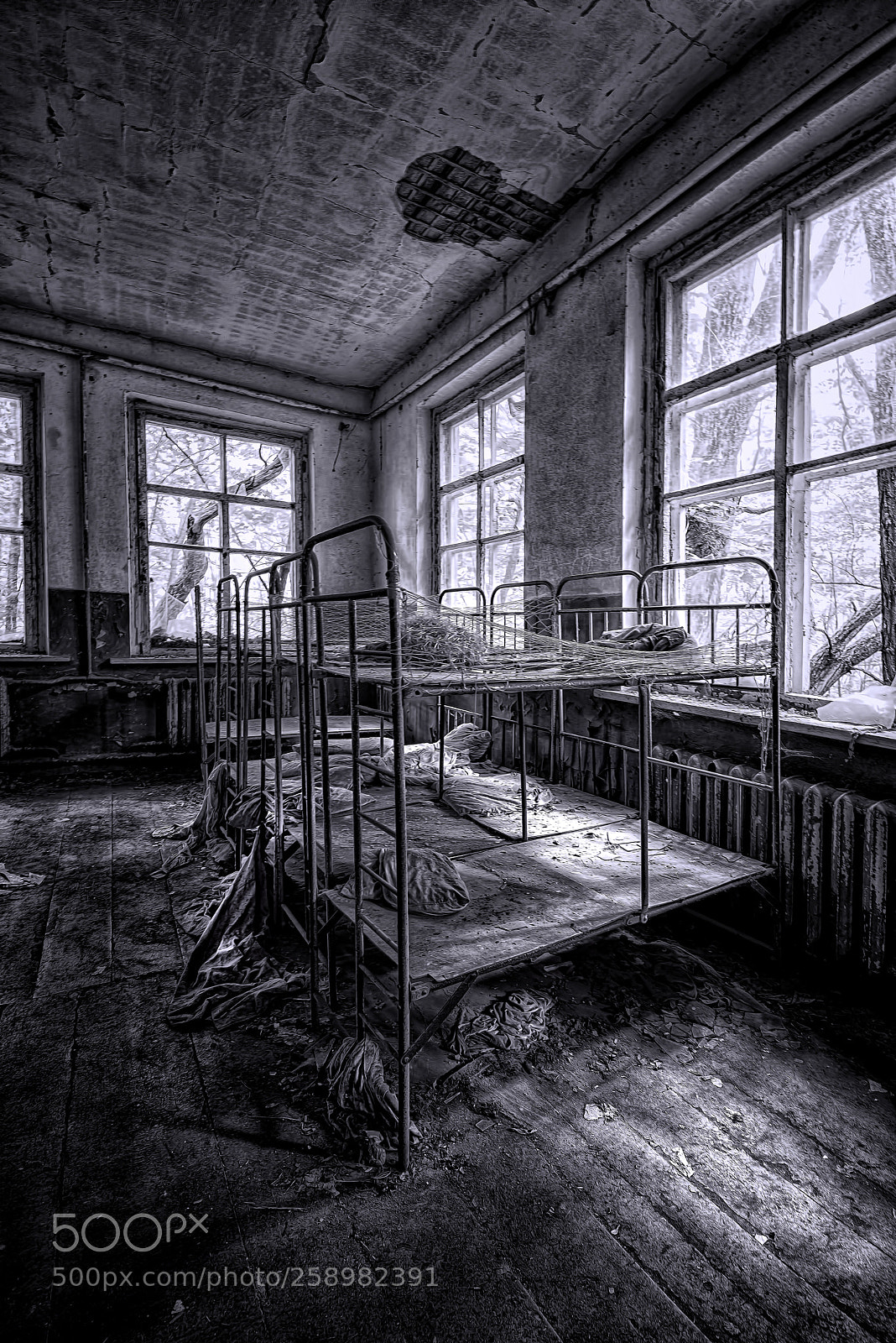 Nikon D810 sample photo. Sadness photography