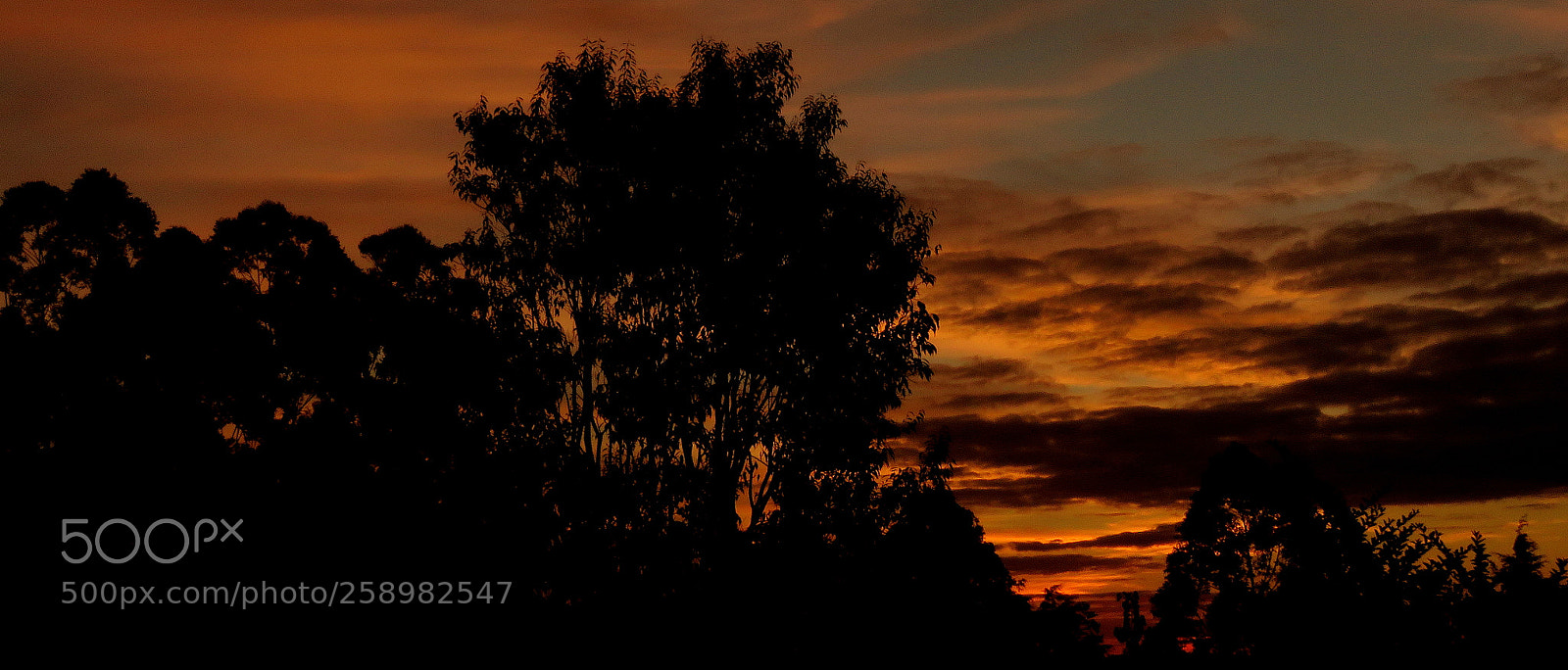 Canon PowerShot SX60 HS sample photo. Colors in the sky .... photography