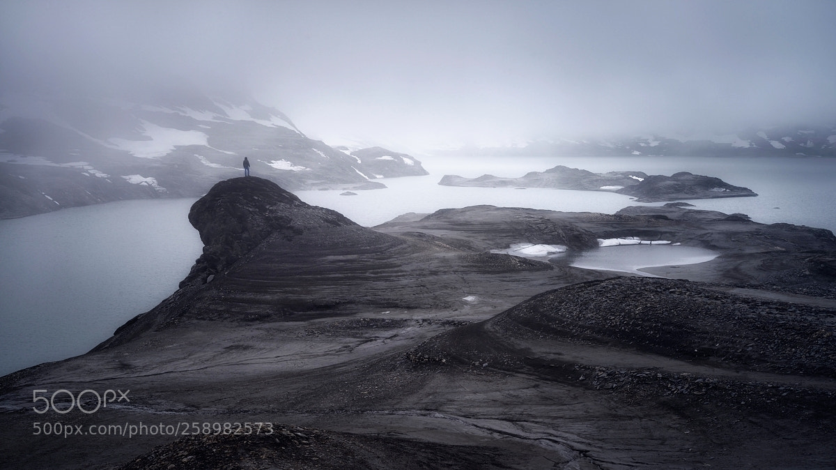 Nikon D800 sample photo. Foggy lands photography