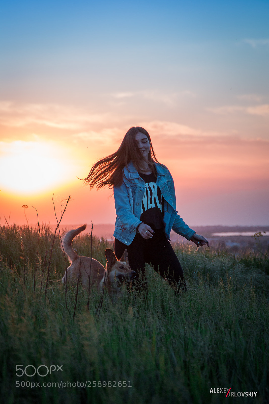 Canon EOS 6D sample photo. Untitled photography