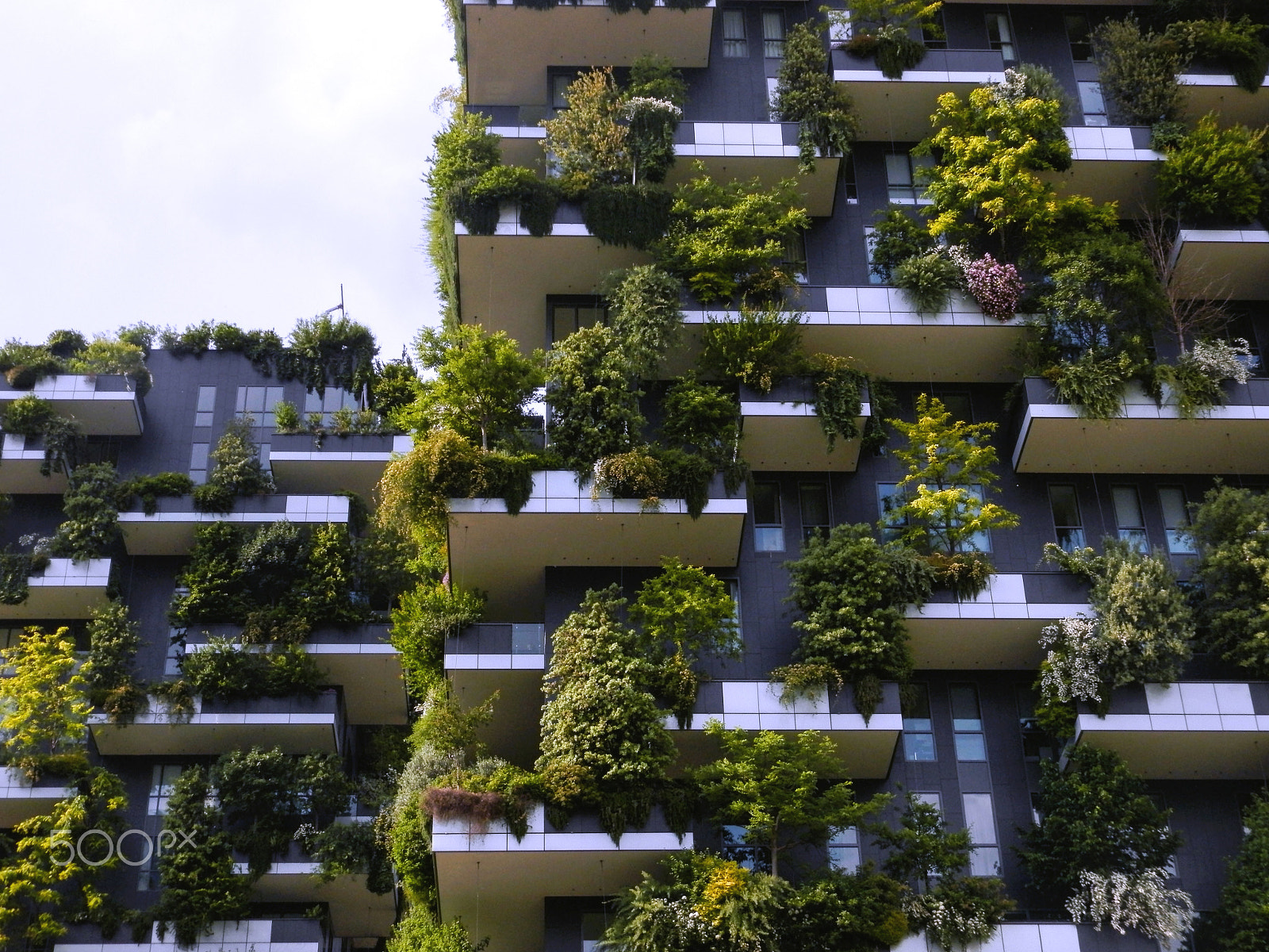 Olympus SP-620UZ sample photo. Details of bosco verticale (vertical forest) photography