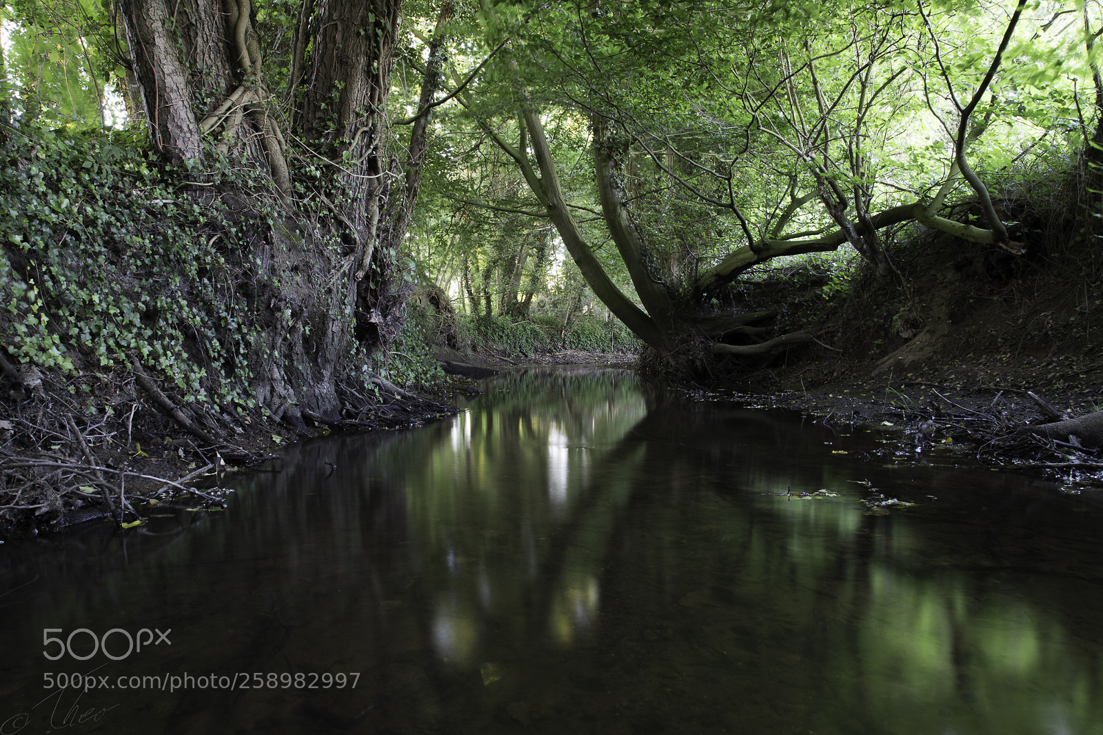 Canon EOS 6D sample photo. Silent water photography
