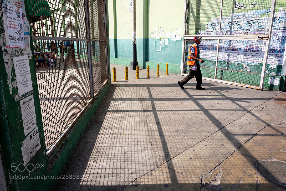 Leica Q (Typ 116) sample photo. Entrance photography