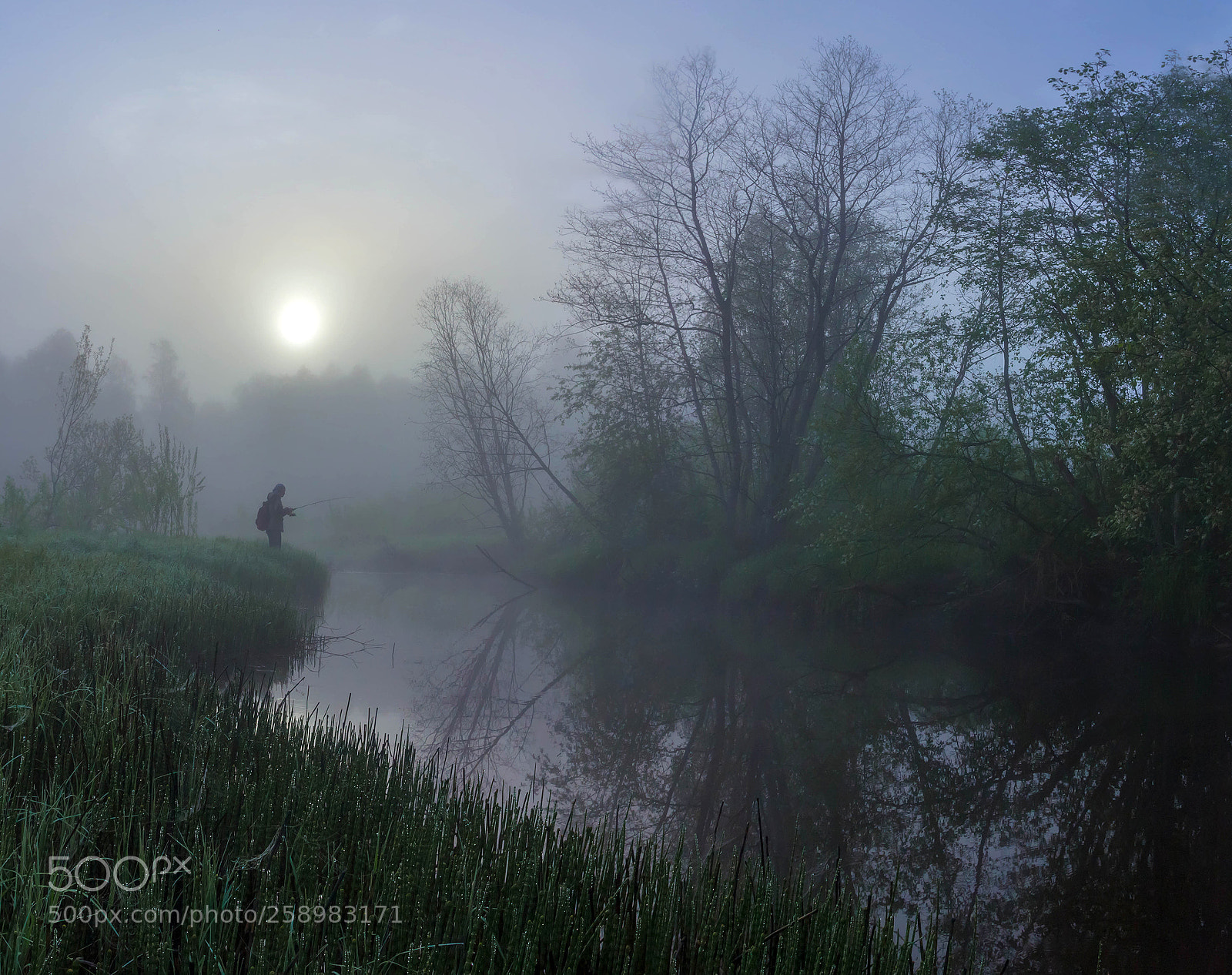 Canon EOS 60D sample photo. Fishing at dawn photography