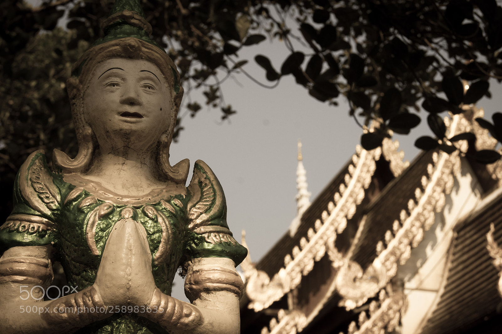 Sony Alpha DSLR-A350 sample photo. Zen, restons zen photography