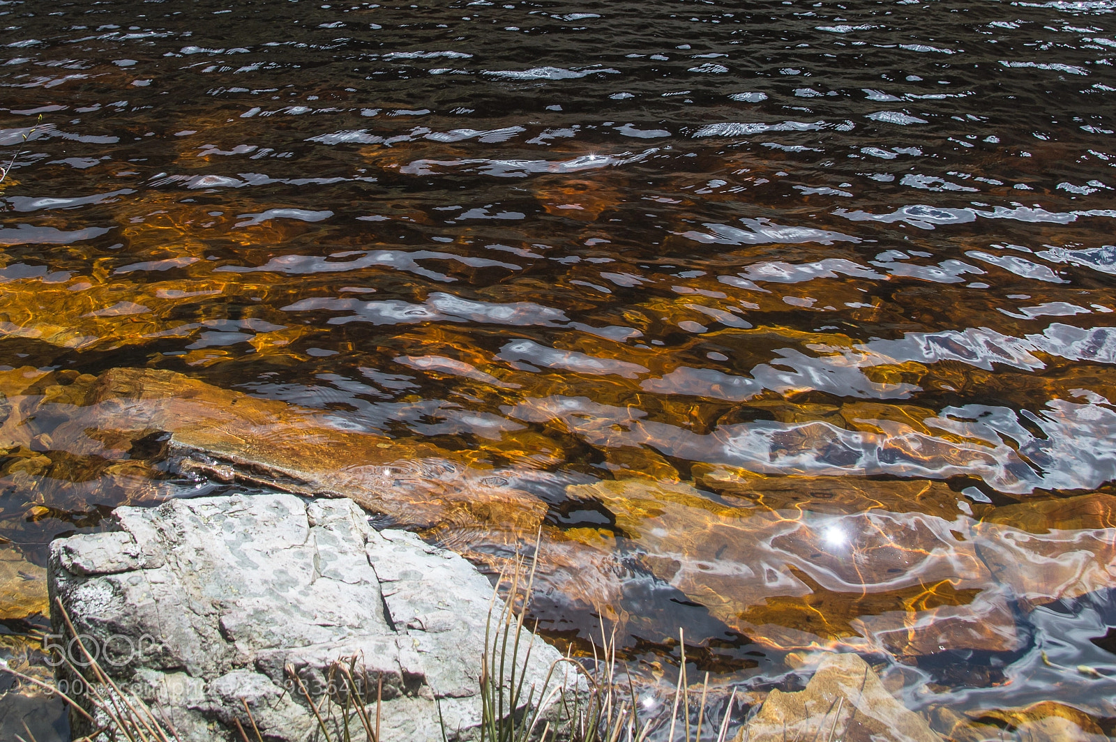 Nikon D3200 sample photo. Laguna muniellos photography