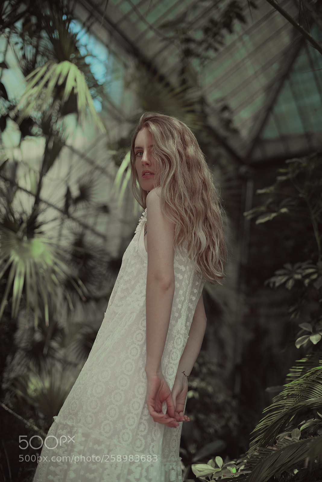 Nikon D750 sample photo. Le botanique photography