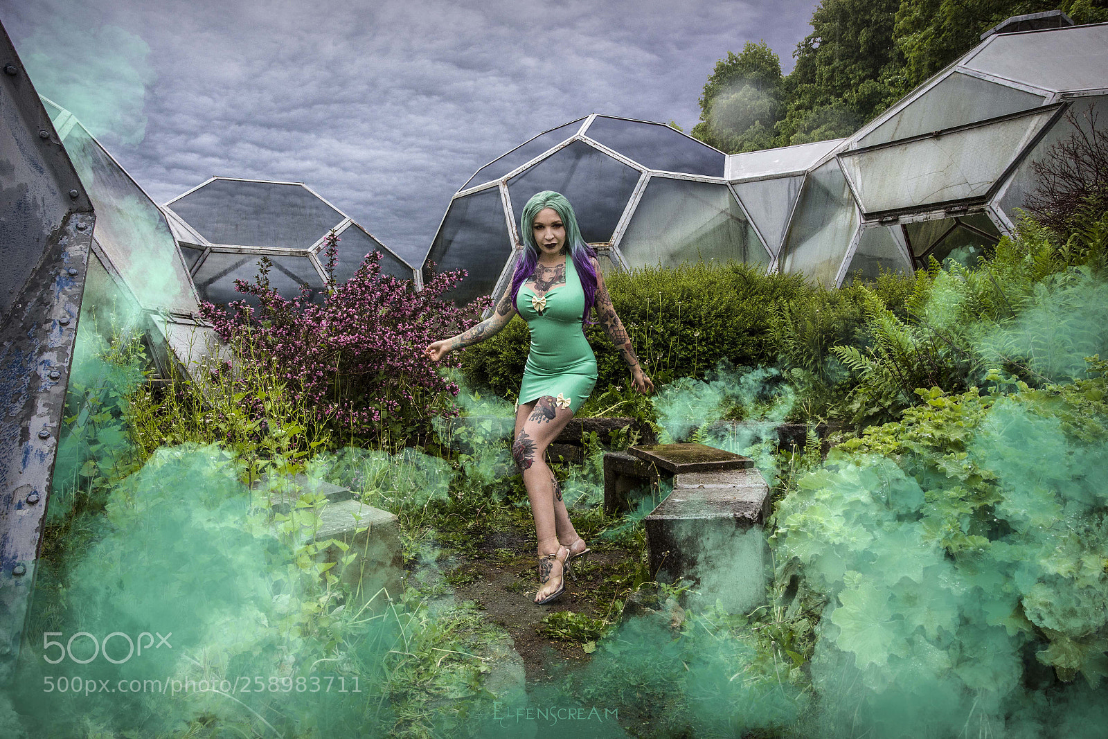 Canon EOS 6D sample photo. Toxic grden photography