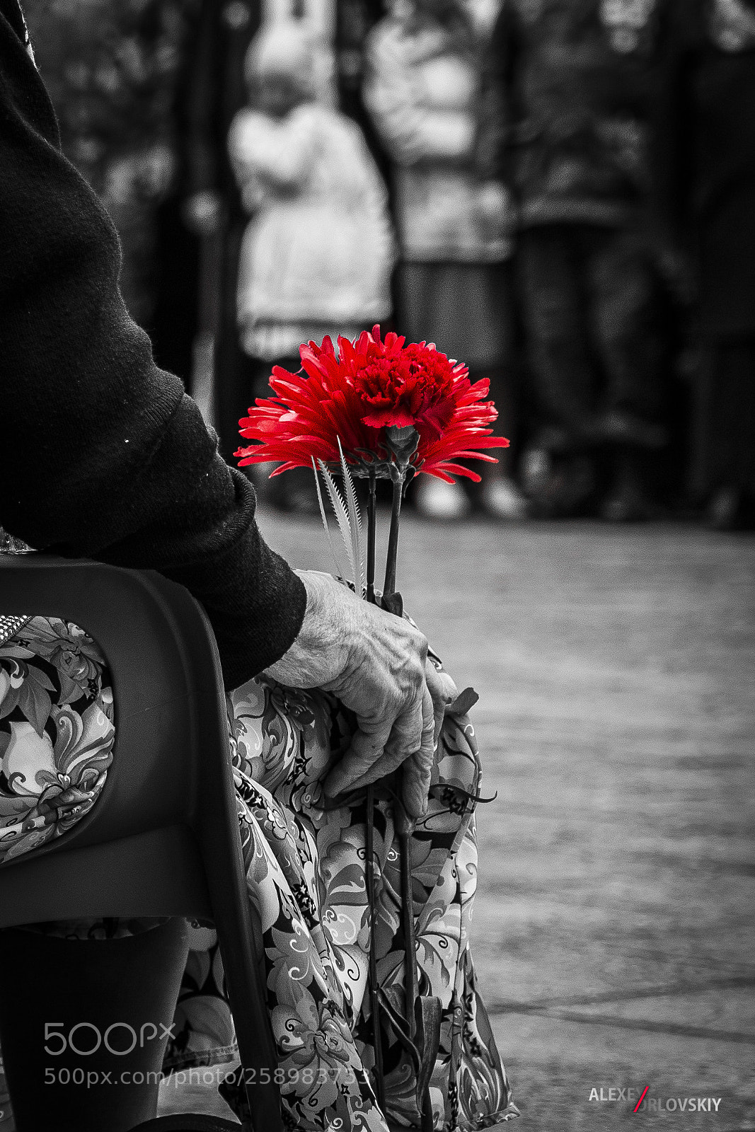 Canon EOS 6D sample photo. Untitled photography