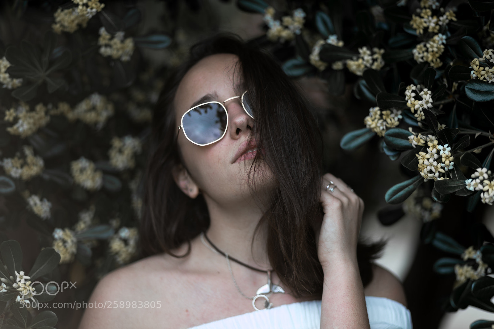Canon EOS 6D Mark II sample photo. Pili photography