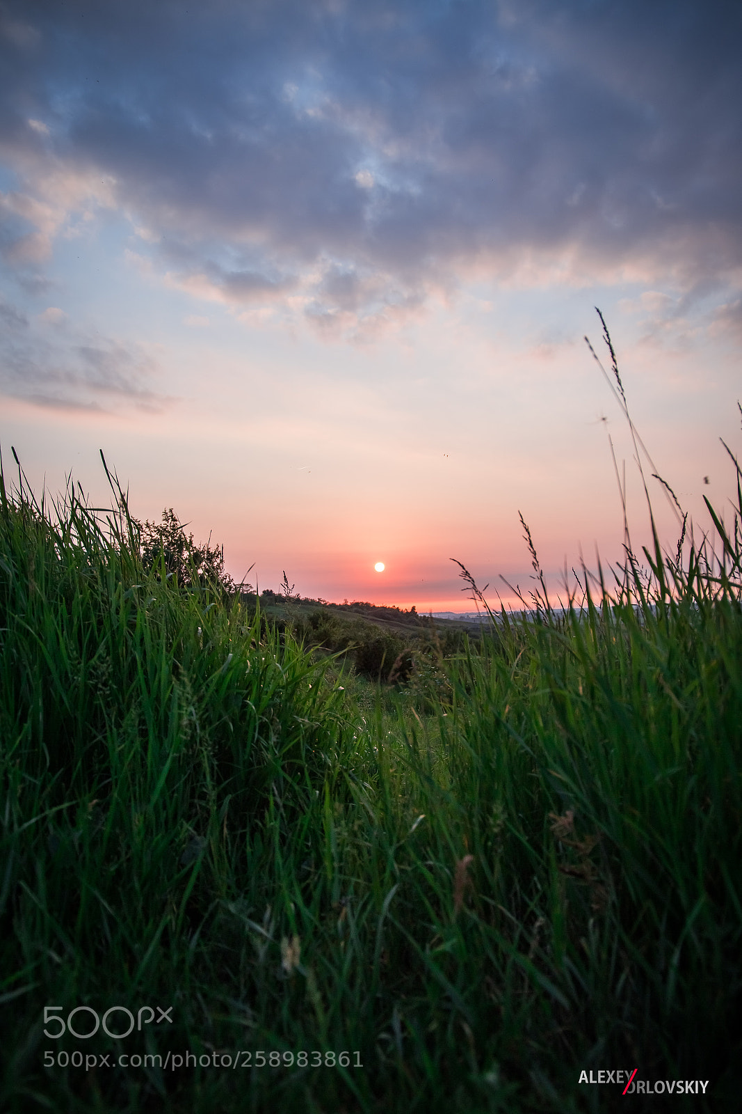 Canon EOS 6D sample photo. Untitled photography
