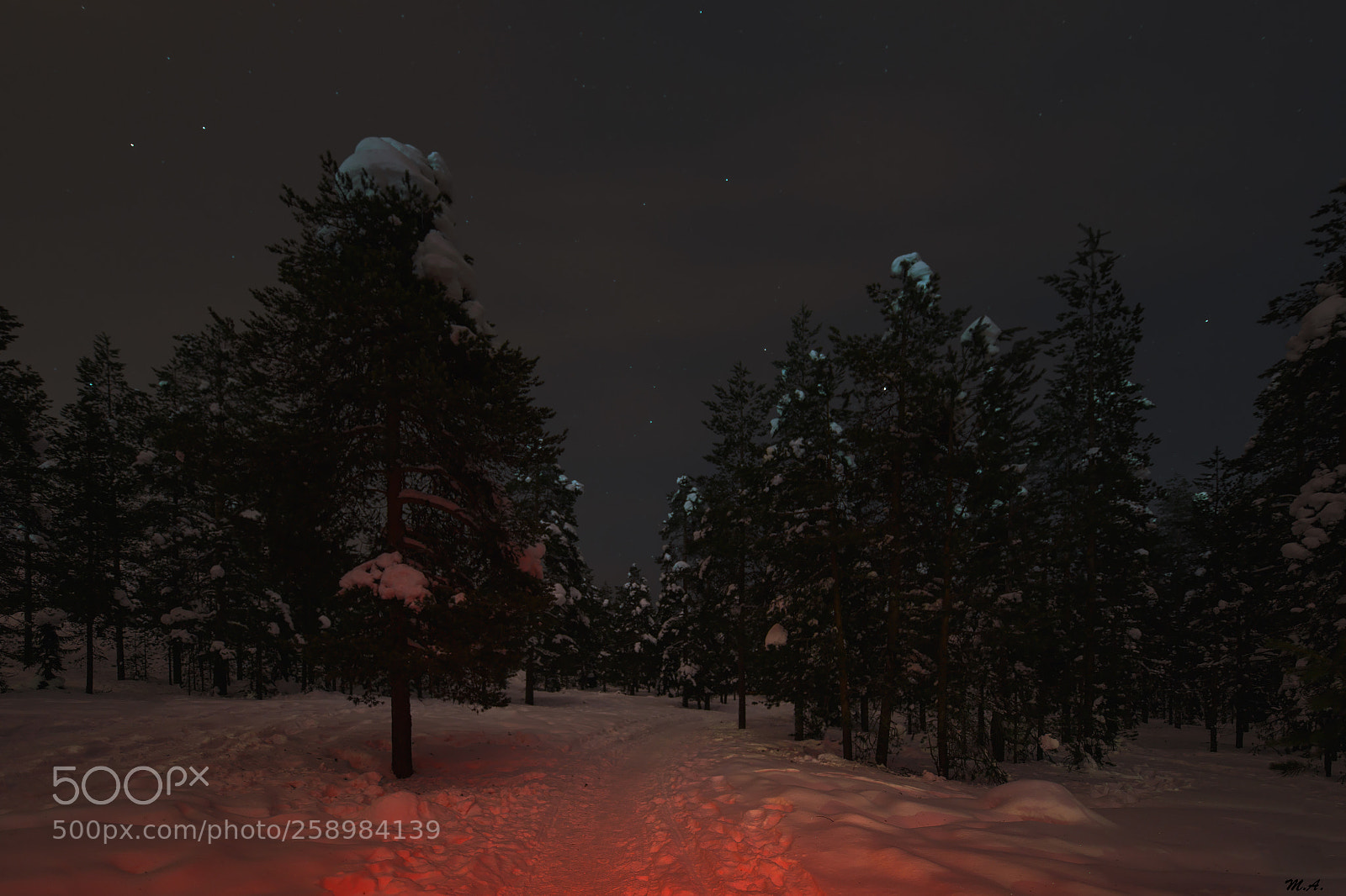 Canon EOS 6D sample photo. Ounasvaara fell in red photography