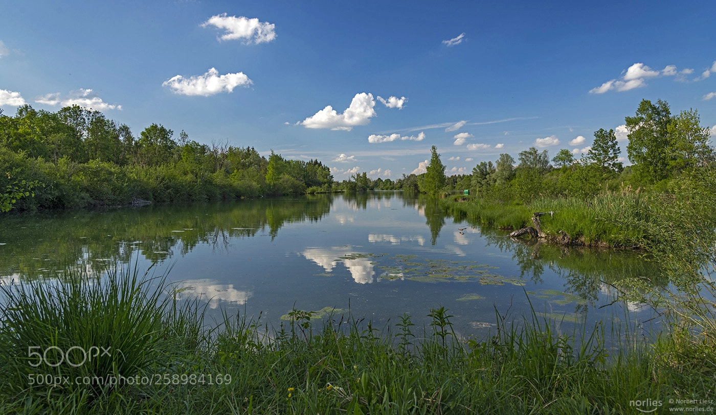 Nikon D850 sample photo. Lake reflection photography