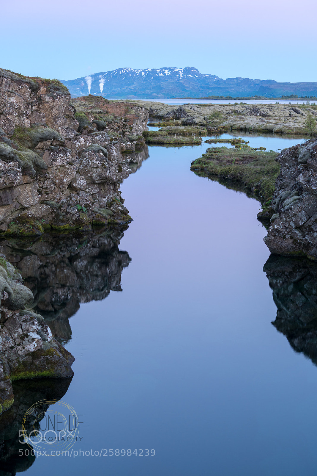 Sony a7R II sample photo. Pink 5 photography