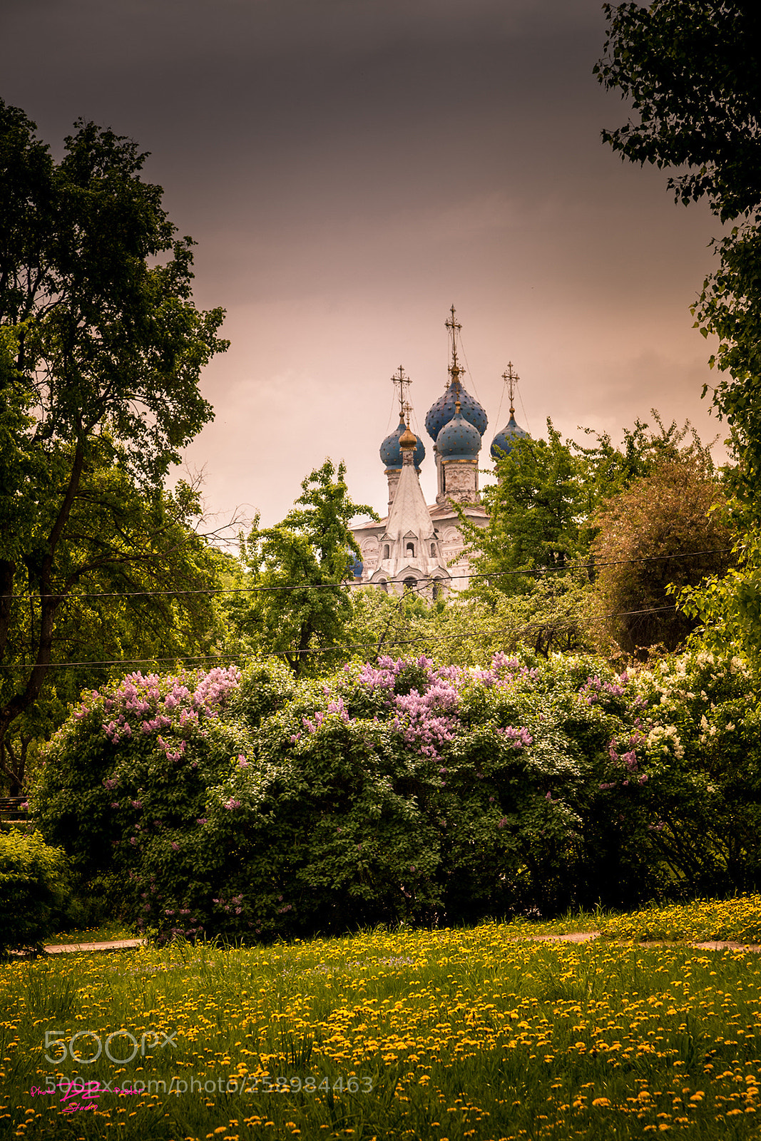 Canon EOS 50D sample photo. Kolomenskoye spring color photography
