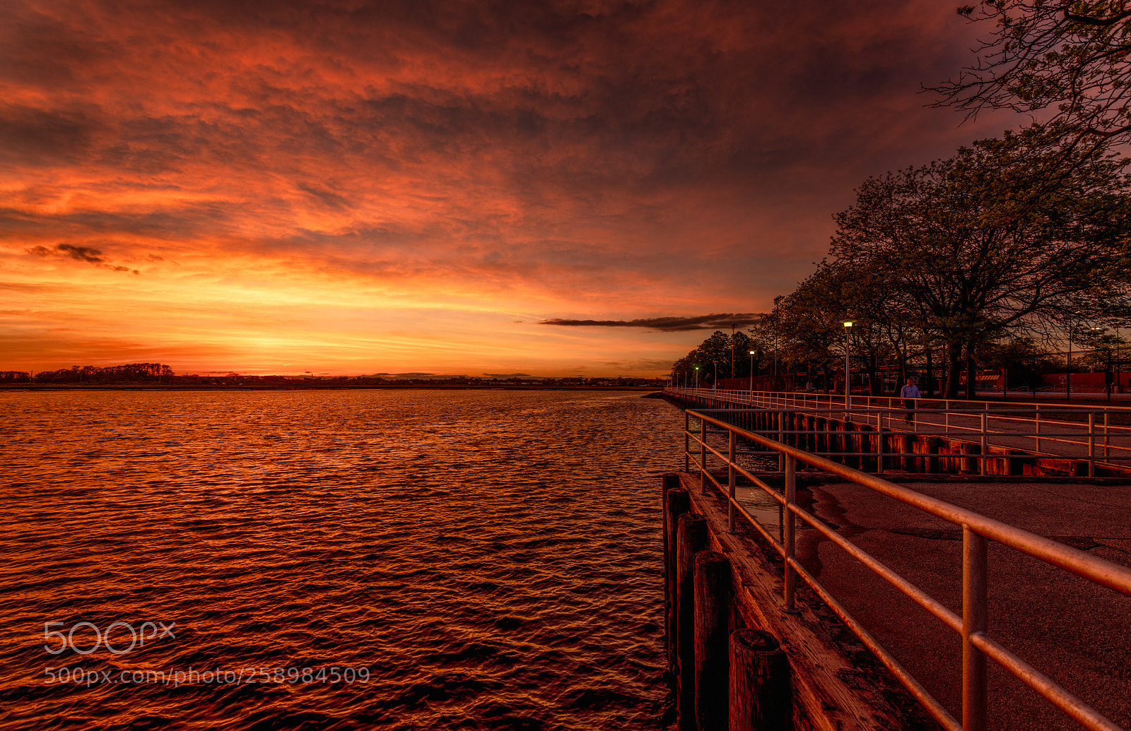 Nikon D850 sample photo. Sunset stroll photography