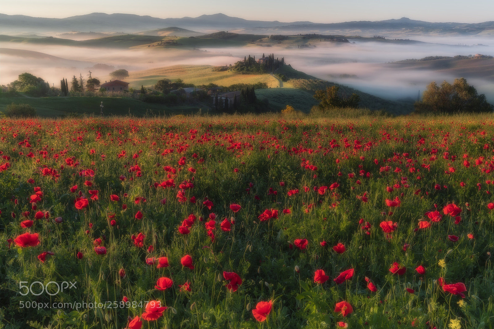 Canon EOS-1D X Mark II sample photo. Alba val d’orcia  photography
