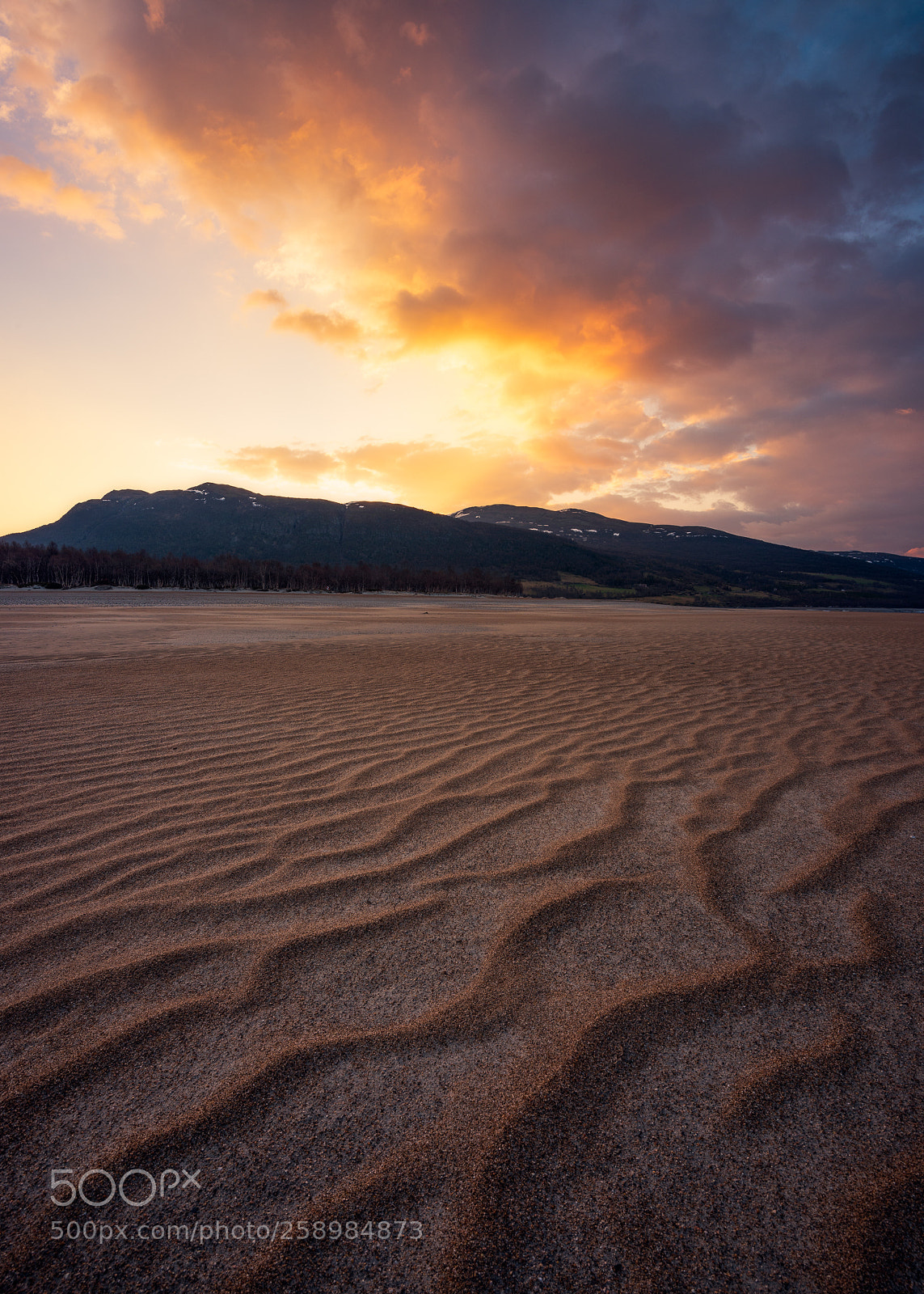 Nikon D810 sample photo. First light beach photography