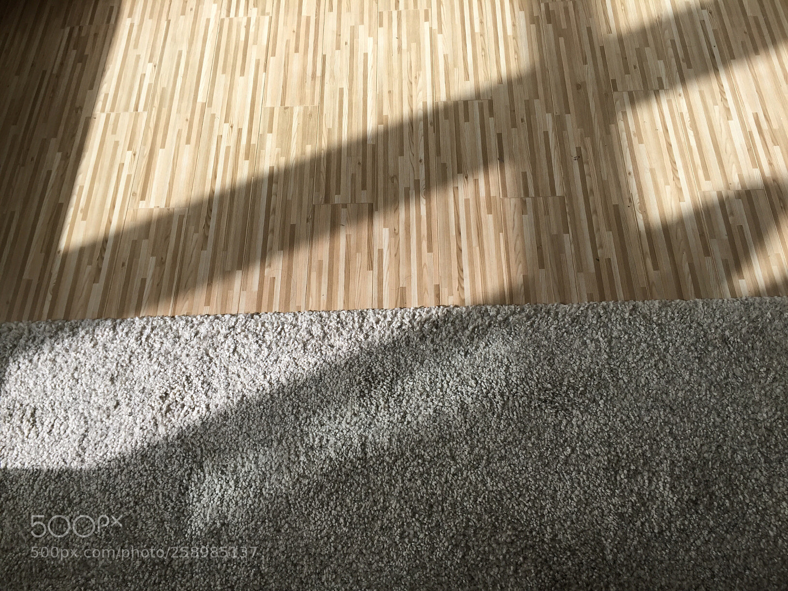 Apple iPhone 6 sample photo. Untitled photography