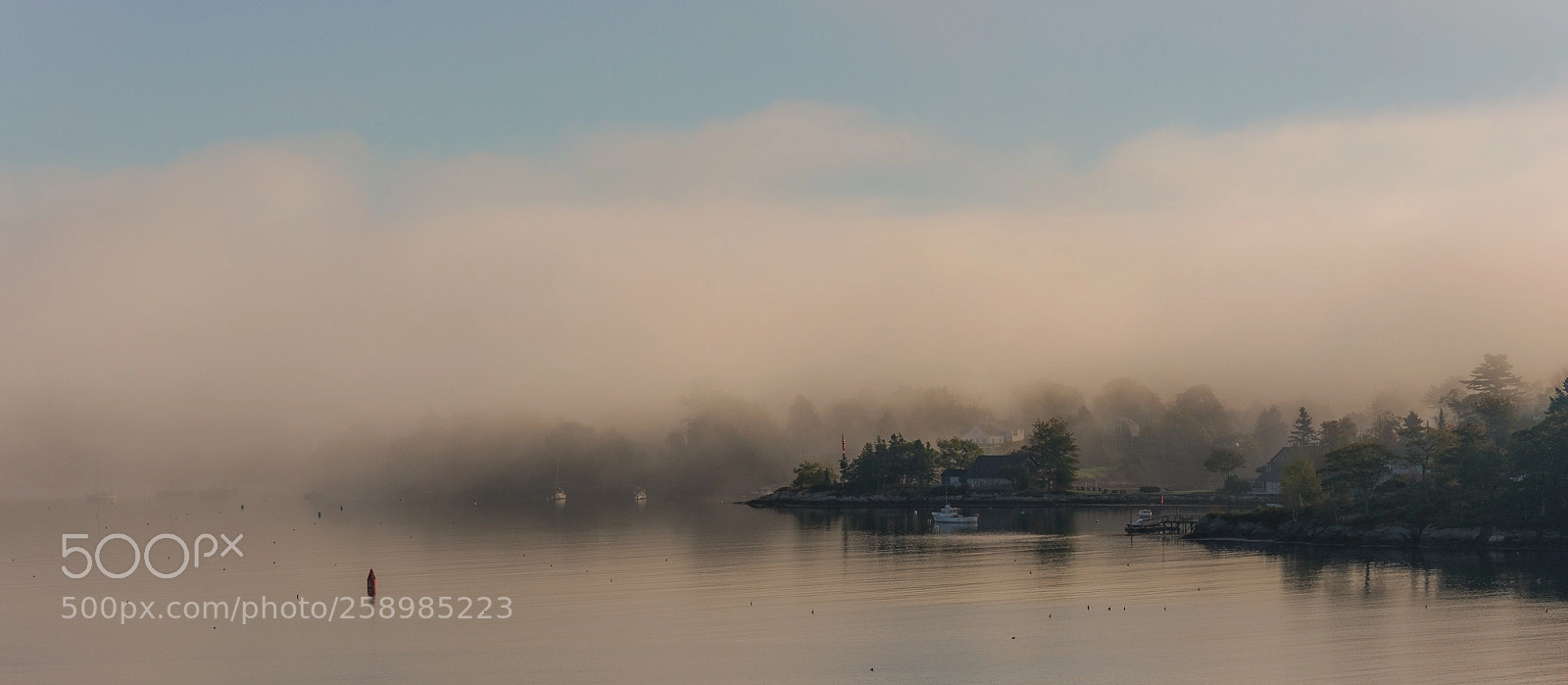 Nikon D90 sample photo. Misty morning photography