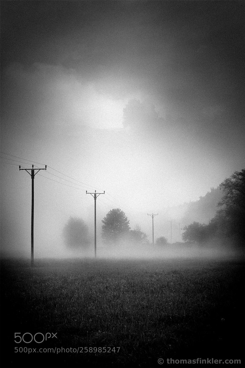 Canon EOS 5D Mark II sample photo. After the thunderstorm [03] photography