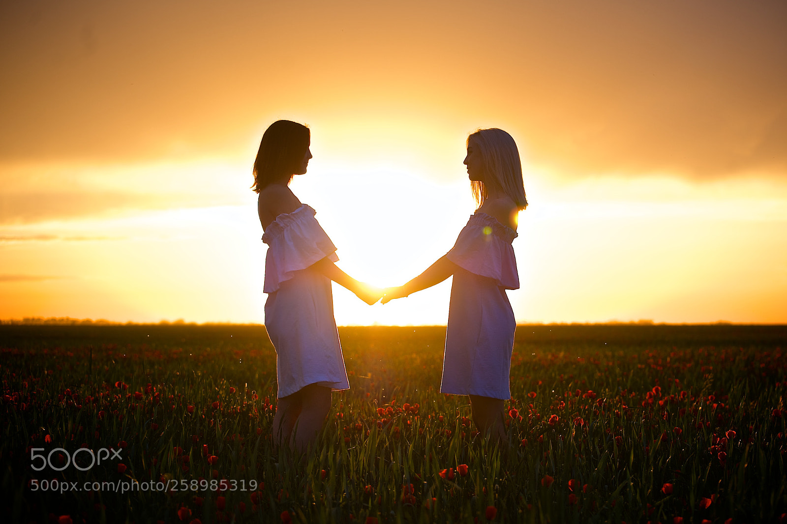 Nikon D700 sample photo. Sunny sisters photography
