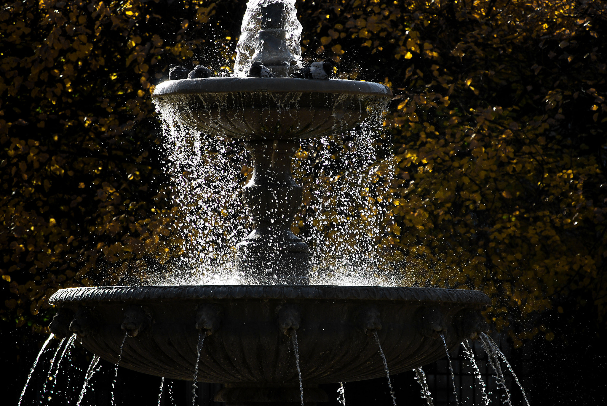 Nikon D60 sample photo. Light and water photography