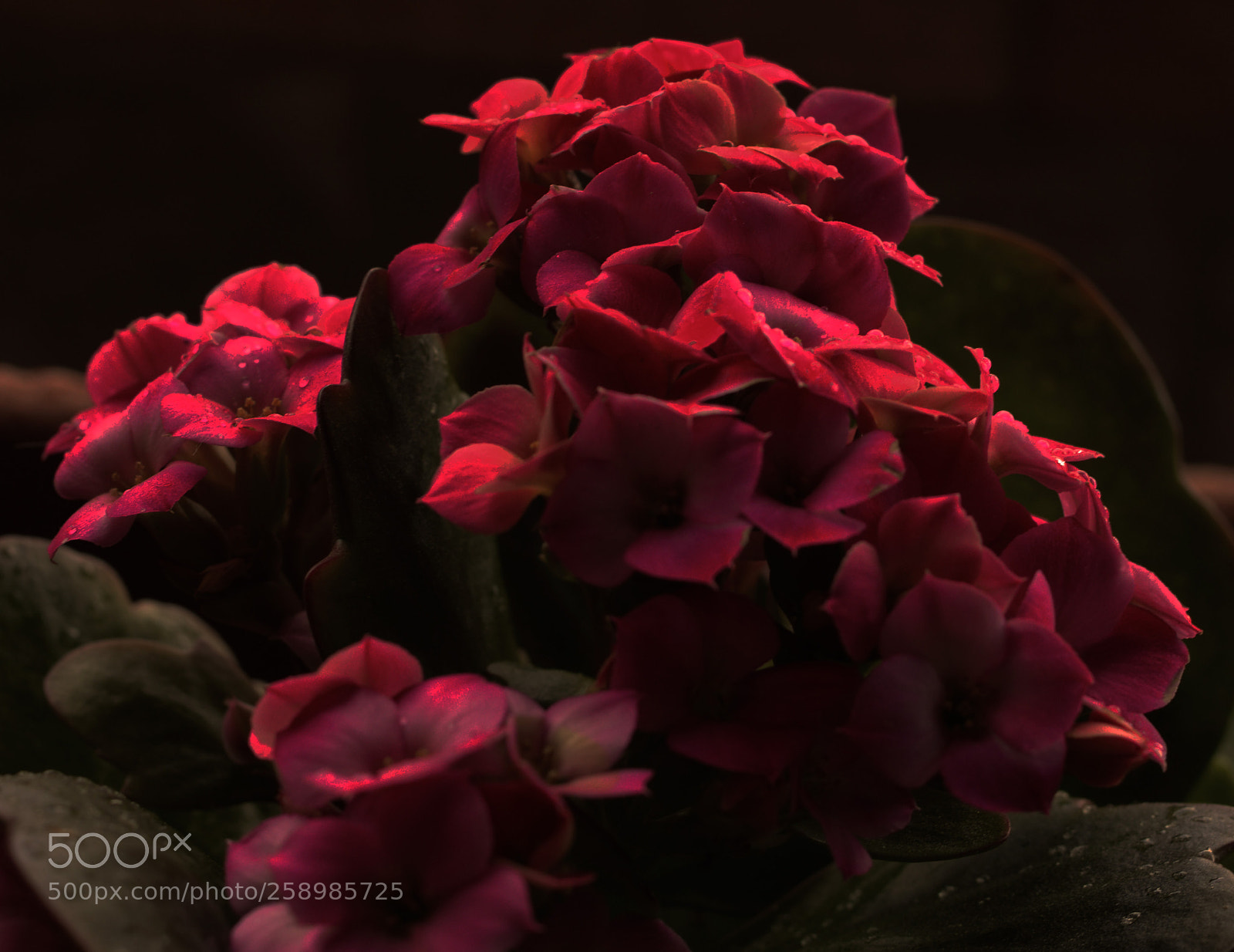 Nikon D3200 sample photo. Untitled photography