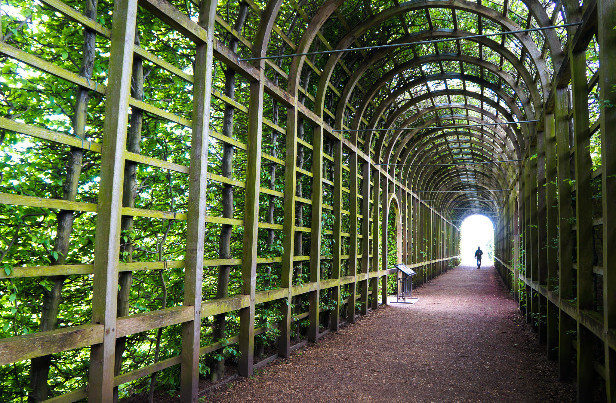 Sony Alpha NEX-5N sample photo. Hampton court garden photography