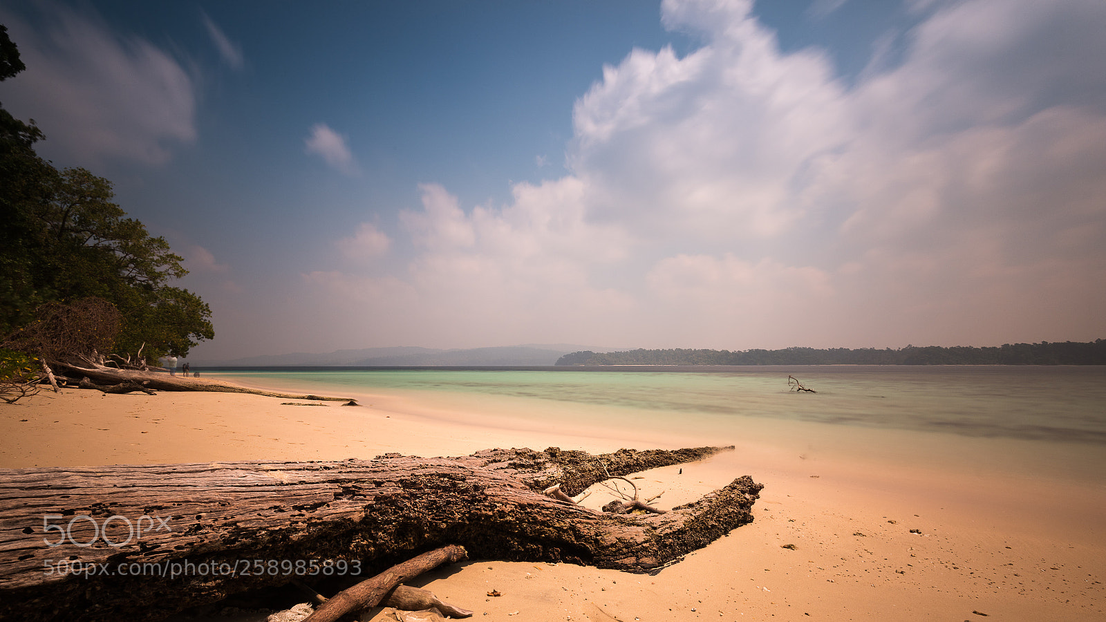 Nikon D810 sample photo. Peace photography