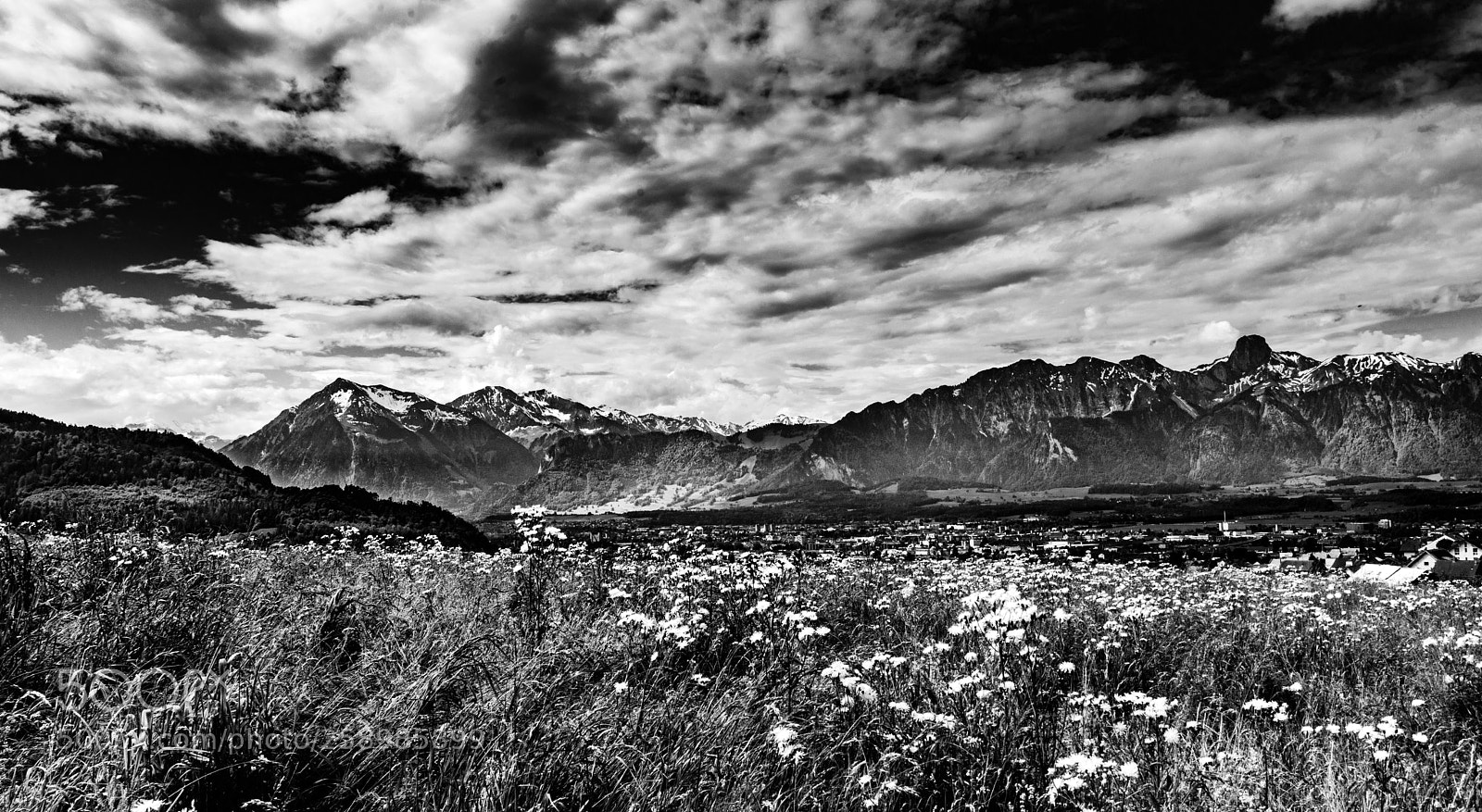 Nikon D800 sample photo. Bergkette von thun photography