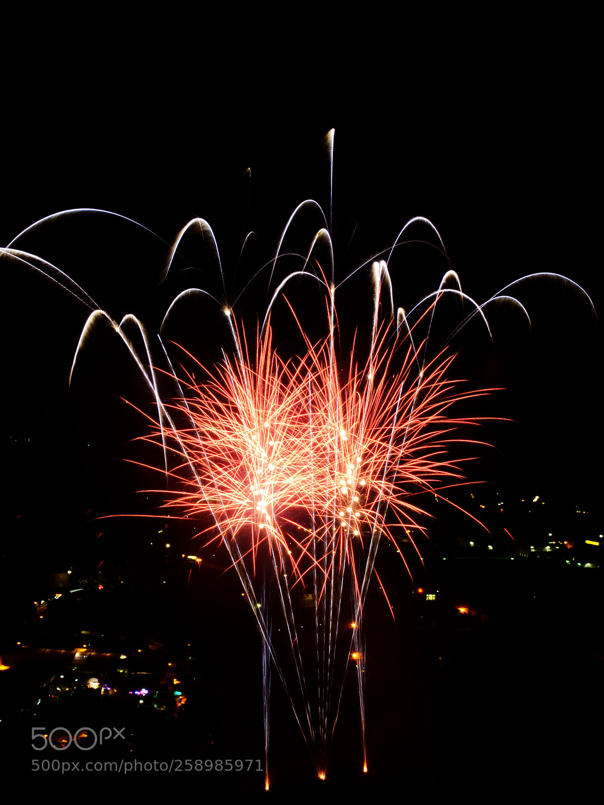 Nikon D5100 sample photo. Fireflower photography